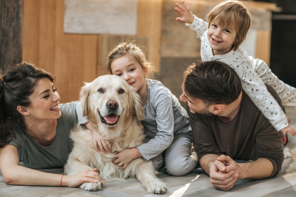 Pet Custody Battles in a Divorce | Alabama Law Blog