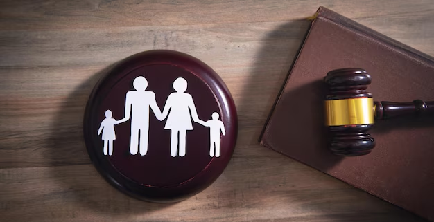Family Lawyer Family Lawyer